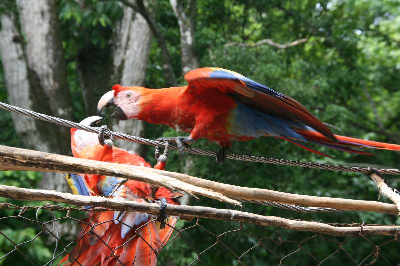 Mexico & Guatemala 2010 - 0901
